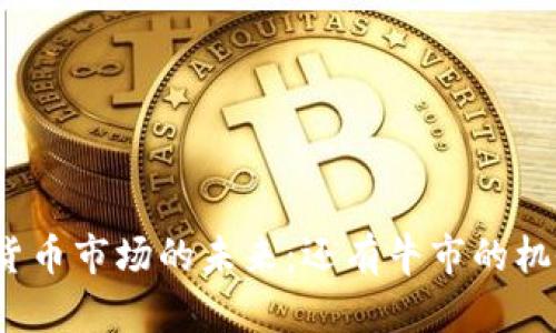 加密货币市场的未来：还有牛市的机会吗？