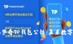 全面解析佛萨奇TP钱包公链：未来数字货币的典范