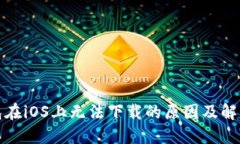 TP钱包在iOS上无法下载的原因及解决方案