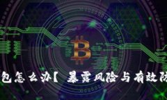 黑客攻击TP钱包怎么办？ 暴露风险与有效防护全