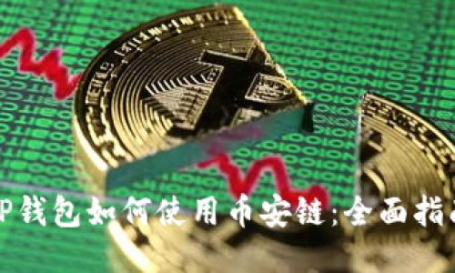 TP钱包如何使用币安链：全面指南