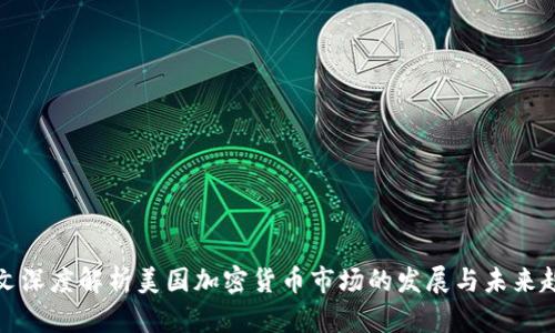 一文深度解析美国加密货币市场的发展与未来趋势