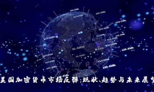 美国加密货币市场反弹：现状、趋势与未来展望