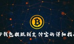 TP钱包提现到支付宝的详细指南