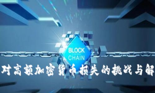 如何应对高额加密货币损失的挑战与解决方案