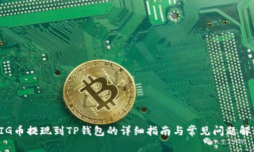 PIG币提现到TP钱包的详细指南与常见问题解答