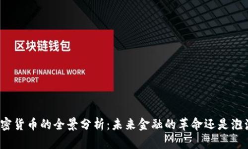 加密货币的全景分析：未来金融的革命还是泡沫？