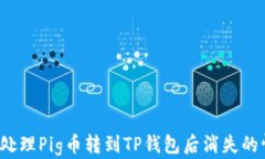 如何处理Pig币转到TP钱包后消失的情况？