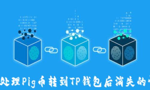 
如何处理Pig币转到TP钱包后消失的情况？