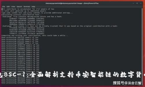 TP钱包BSC-1：全面解析支持币安智能链的数字货币钱包