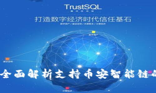 TP钱包BSC-1：全面解析支持币安智能链的数字货币钱包