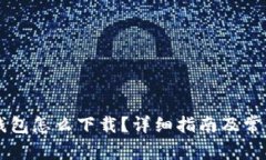 电脑版TP钱包怎么下载？详细指南及常见问题解答