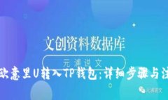 如何将欧意里U转入TP钱包：详细步骤与注意事项