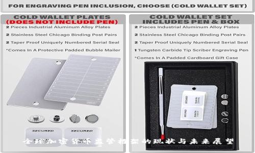 全球加密货币监管框架的现状与未来展望