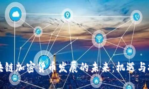区块链加密货币发展的未来：机遇与挑战