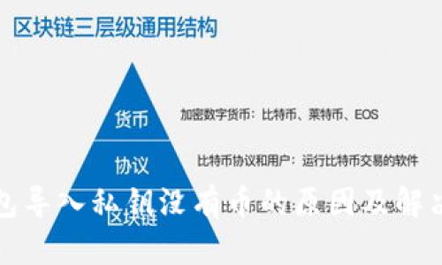 TP钱包导入私钥没有币的原因及解决方案