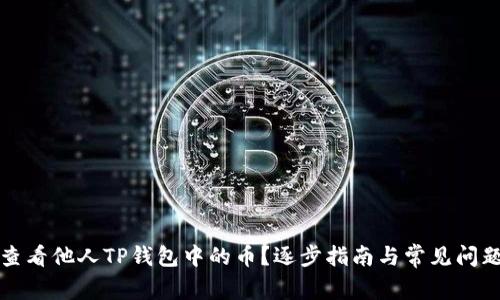 如何查看他人TP钱包中的币？逐步指南与常见问题解答