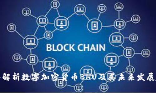 深入解析数字加密货币BHU及其未来发展趋势