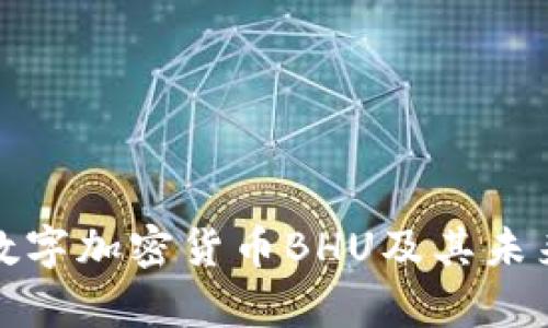 深入解析数字加密货币BHU及其未来发展趋势