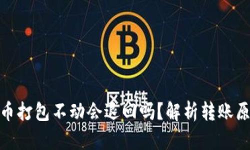 TP钱包转币打包不动会退回吗？解析转账原理与风险