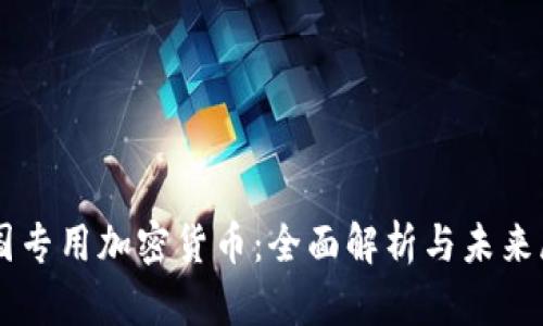 美国专用加密货币：全面解析与未来展望