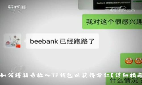 如何将猪币放入TP钱包以获得分红？详细指南