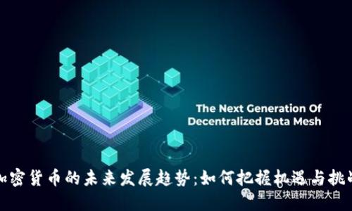 加密货币的未来发展趋势：如何把握机遇与挑战