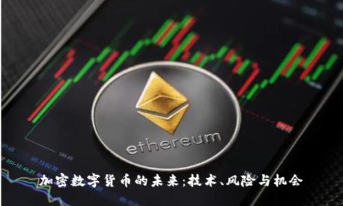 加密数字货币的未来：技术、风险与机会