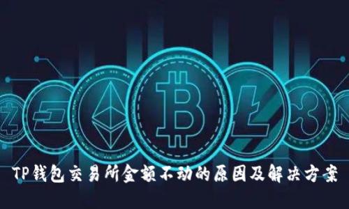 TP钱包交易所金额不动的原因及解决方案