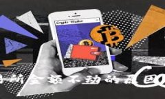 TP钱包交易所金额不动的原因及解决方案