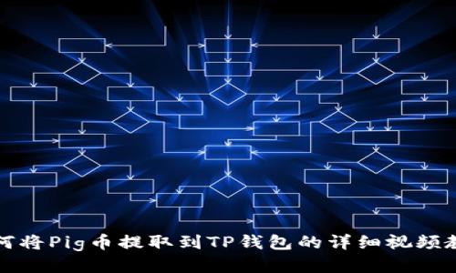 如何将Pig币提取到TP钱包的详细视频教程