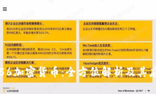SHA-256加密货币：全方位解析及其应用前景