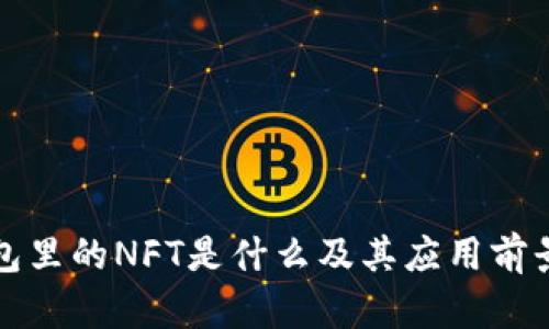 TP钱包里的NFT是什么及其应用前景分析