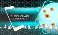 如何将Sol币存入TP钱包：详细步骤与注意事项