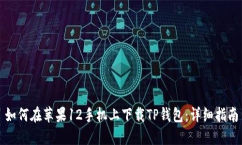 如何在苹果12手机上下载TP钱包：详细指南