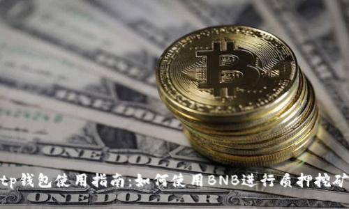 tp钱包使用指南：如何使用BNB进行质押挖矿