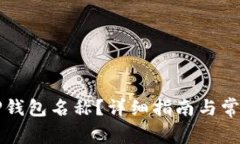 如何修改TP钱包名称？详细指南与常见问题解析