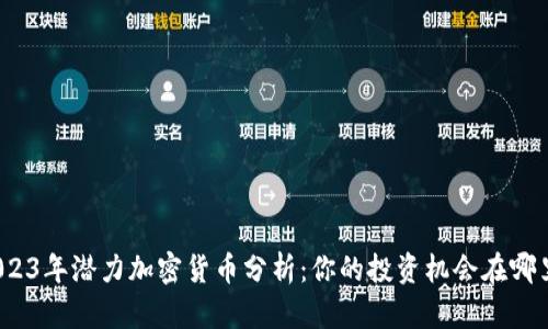 2023年潜力加密货币分析：你的投资机会在哪里？