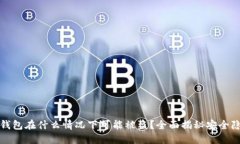 TP钱包在什么情况下可能被盗？全面揭秘安全隐患