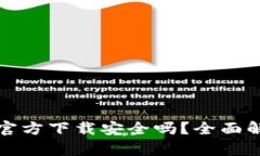 最新版TP钱包官方下载安全吗？全面解析与使用指