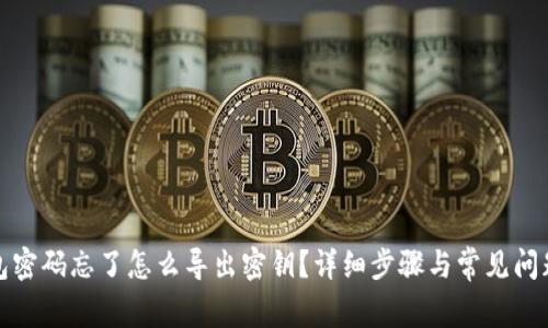 TP钱包密码忘了怎么导出密钥？详细步骤与常见问题解答