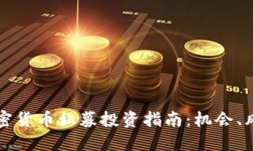 新加坡加密货币私募投资指南：机会、风险与策略