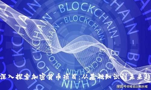: 深入探索加密货币项目：从基础知识到未来趋势
