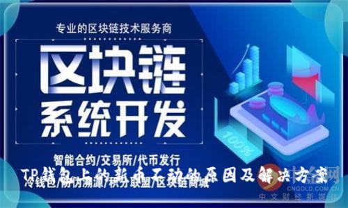 TP钱包上的新币不动的原因及解决方案