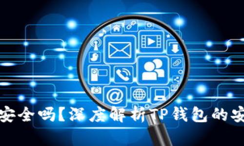 把币放TP钱包安全吗？深度解析TP钱包的安全性与实用性